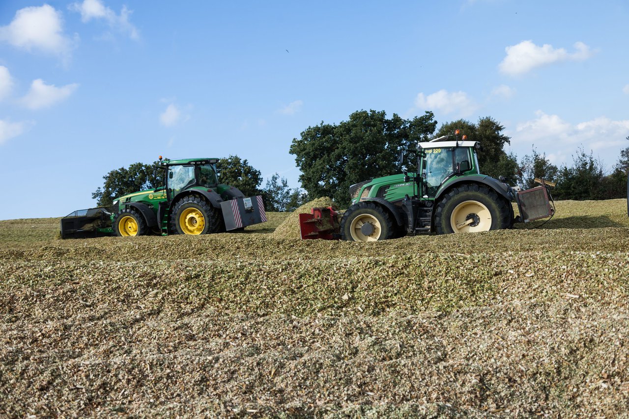 Bild 133 - Maisernte